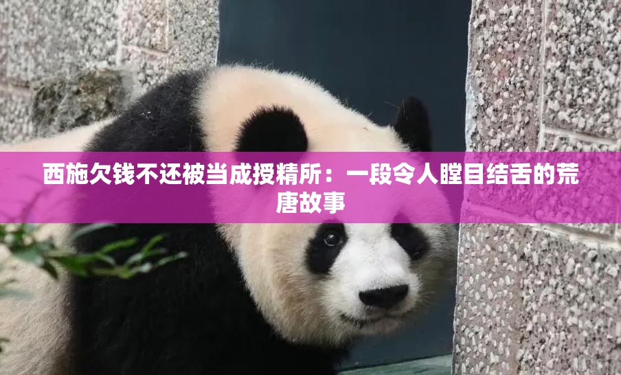 西施欠錢不還被當(dāng)成授精所：一段令人瞠目結(jié)舌的荒唐故事