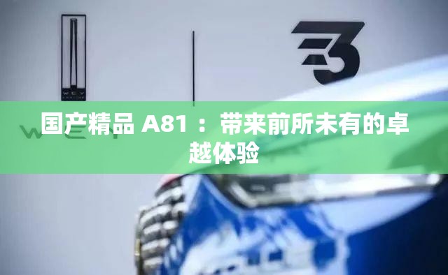 國產(chǎn)精品 A81 ：帶來前所未有的卓越體驗(yàn)