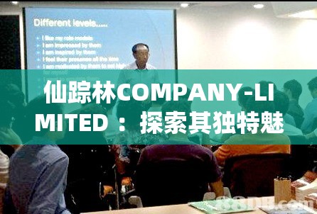 仙蹤林COMPANY-LIMITED ：探索其獨(dú)特魅力與發(fā)展歷程