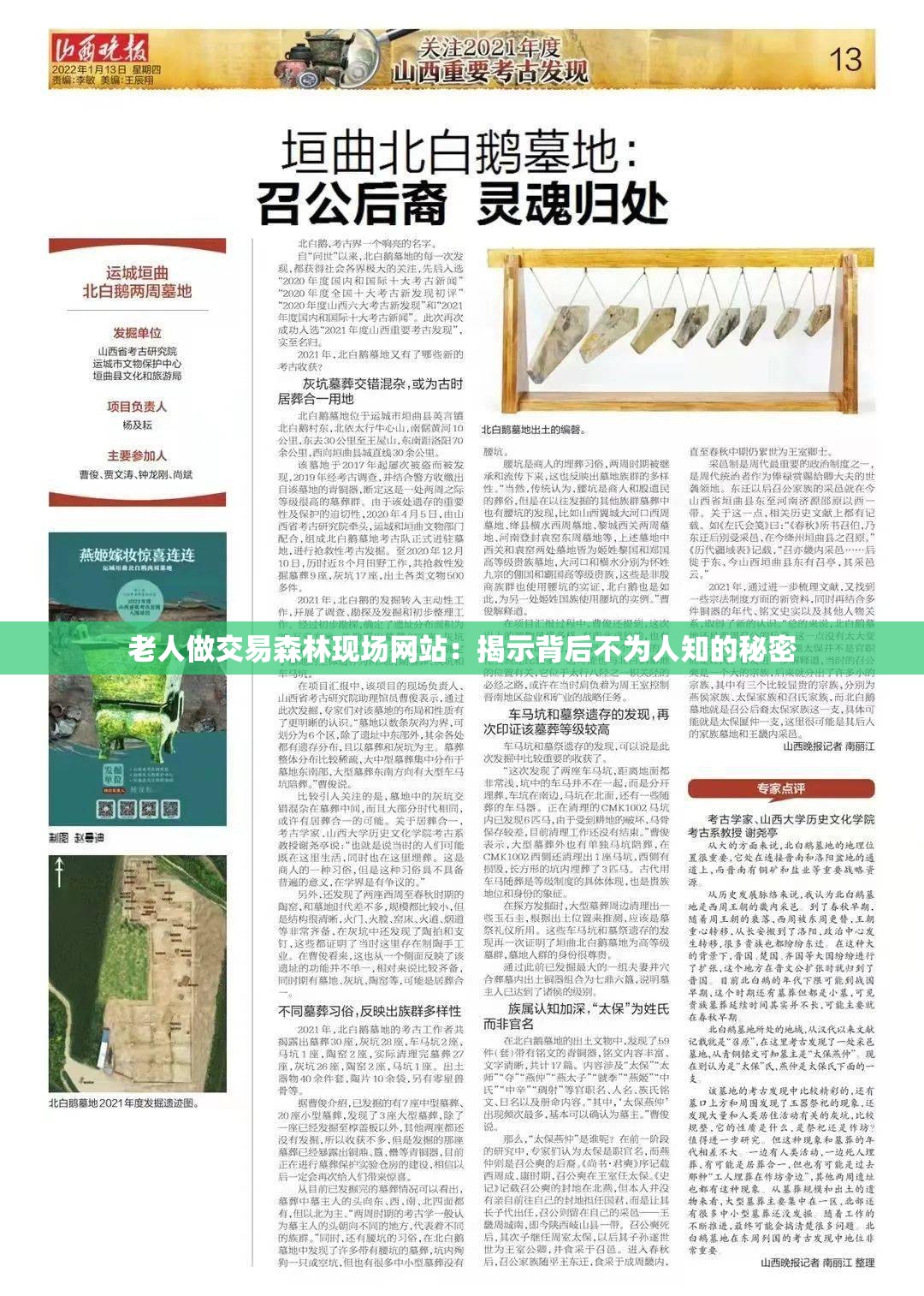 老人做交易森林現(xiàn)場(chǎng)網(wǎng)站：揭示背后不為人知的秘密