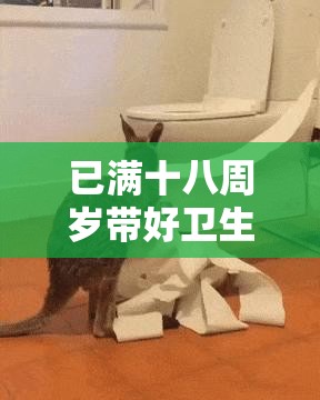 已滿(mǎn)十八周歲帶好衛(wèi)生紙：步入成年需隨時(shí)做好準(zhǔn)備