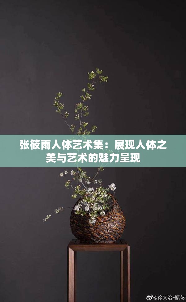 張?bào)阌耆梭w藝術(shù)集：展現(xiàn)人體之美與藝術(shù)的魅力呈現(xiàn)