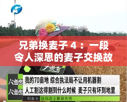 兄弟換麥子 4 ：一段令人深思的麥子交換故事