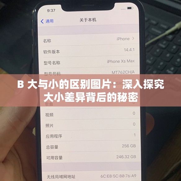 B 大與小的區(qū)別圖片：深入探究大小差異背后的秘密