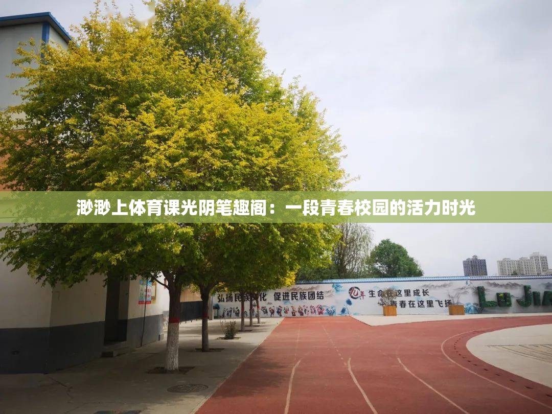 渺渺上體育課光陰筆趣閣：一段青春校園的活力時光