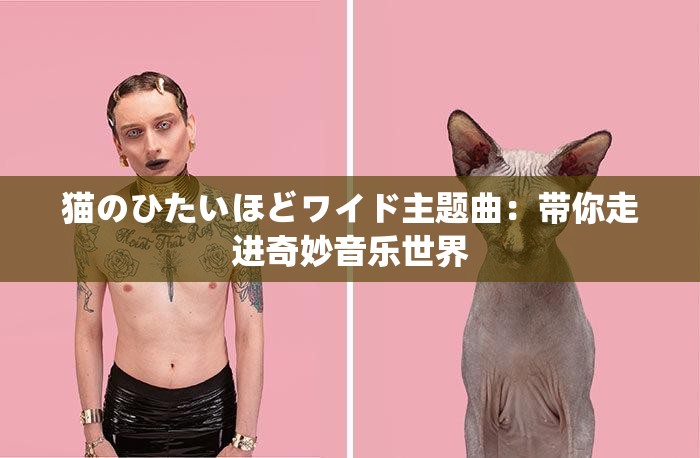 貓のひたいほどワイド主題曲：帶你走進奇妙音樂世界
