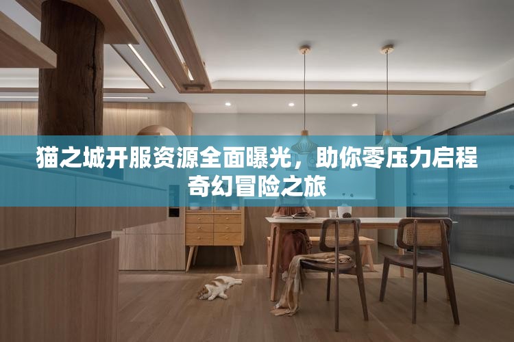 貓之城開服資源全面曝光，助你零壓力啟程奇幻冒險之旅