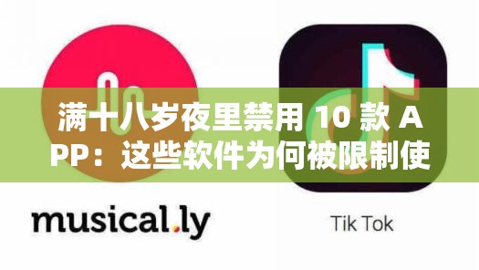 滿十八歲夜里禁用 10 款 APP：這些軟件為何被限制使用