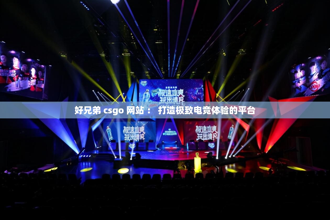 好兄弟 csgo 網(wǎng)站 ： 打造極致電競體驗的平臺