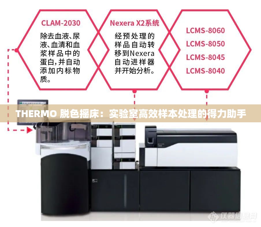 THERMO 脫色搖床：實驗室高效樣本處理的得力助手