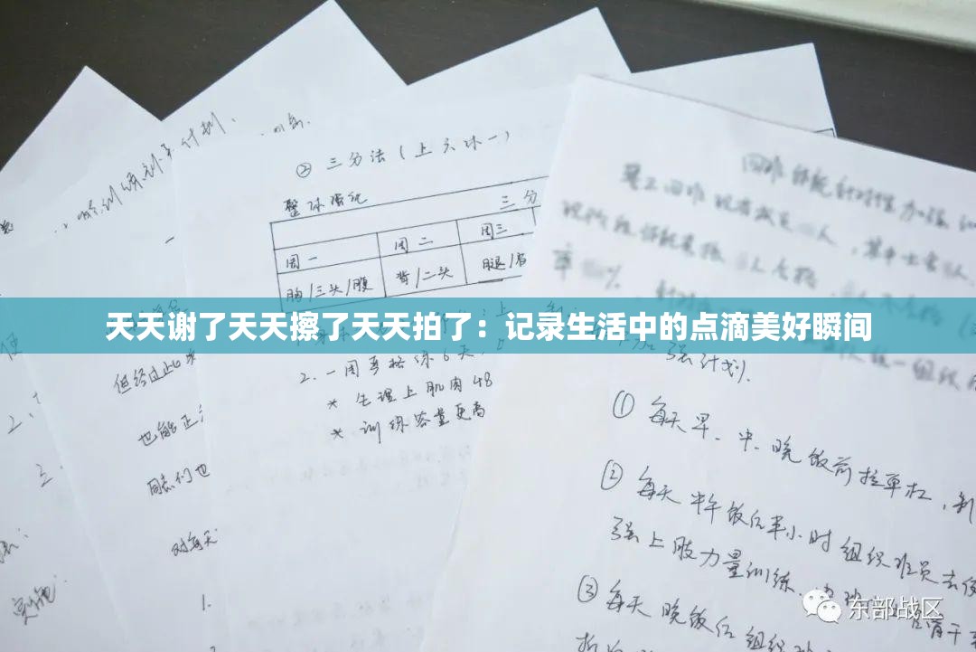 天天謝了天天擦了天天拍了：記錄生活中的點(diǎn)滴美好瞬間
