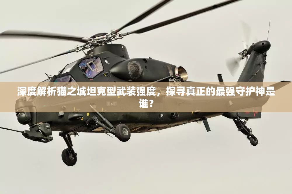 深度解析貓之城坦克型武裝強(qiáng)度，探尋真正的最強(qiáng)守護(hù)神是誰？