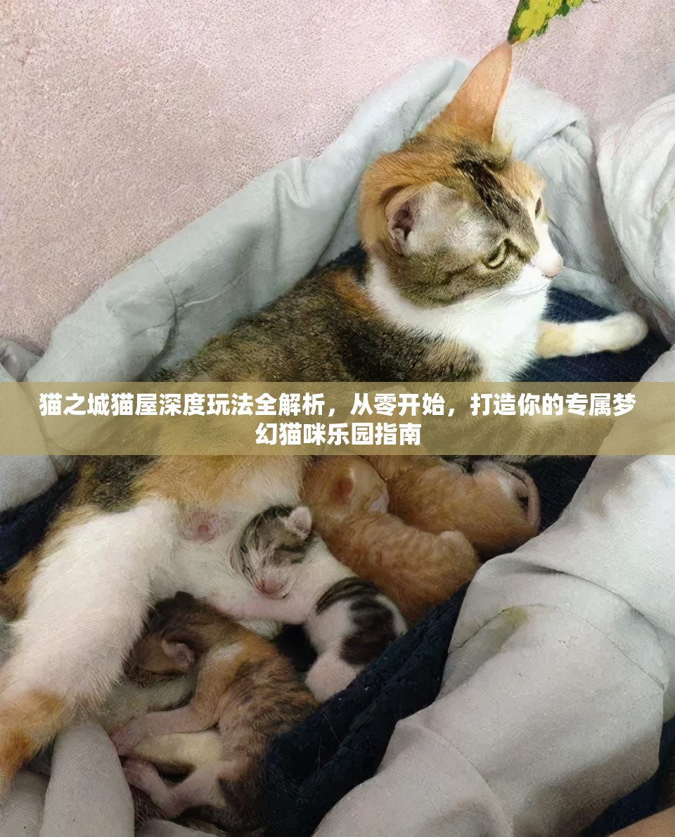 貓之城貓屋深度玩法全解析，從零開始，打造你的專屬夢幻貓咪樂園指南