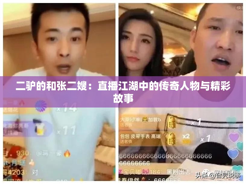 二驢的和張二嫂：直播江湖中的傳奇人物與精彩故事