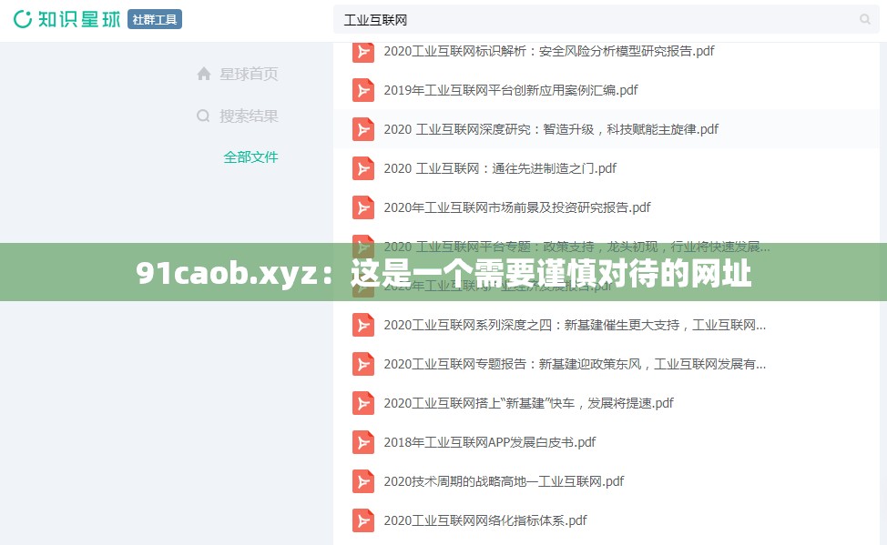 91caob.xyz：這是一個(gè)需要謹(jǐn)慎對(duì)待的網(wǎng)址