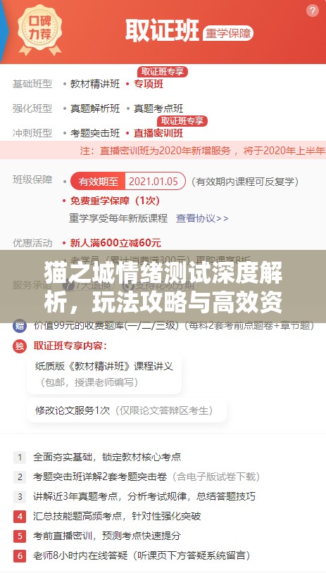 貓之城情緒測(cè)試深度解析，玩法攻略與高效資源管理技巧