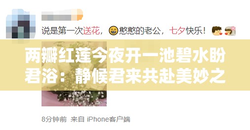 兩瓣紅蓮今夜開一池碧水盼君?。红o候君來共赴美妙之約