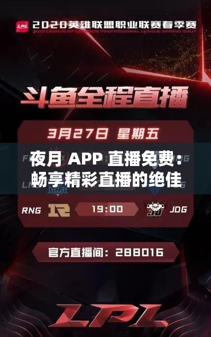 夜月 APP 直播免費：暢享精彩直播的絕佳平臺