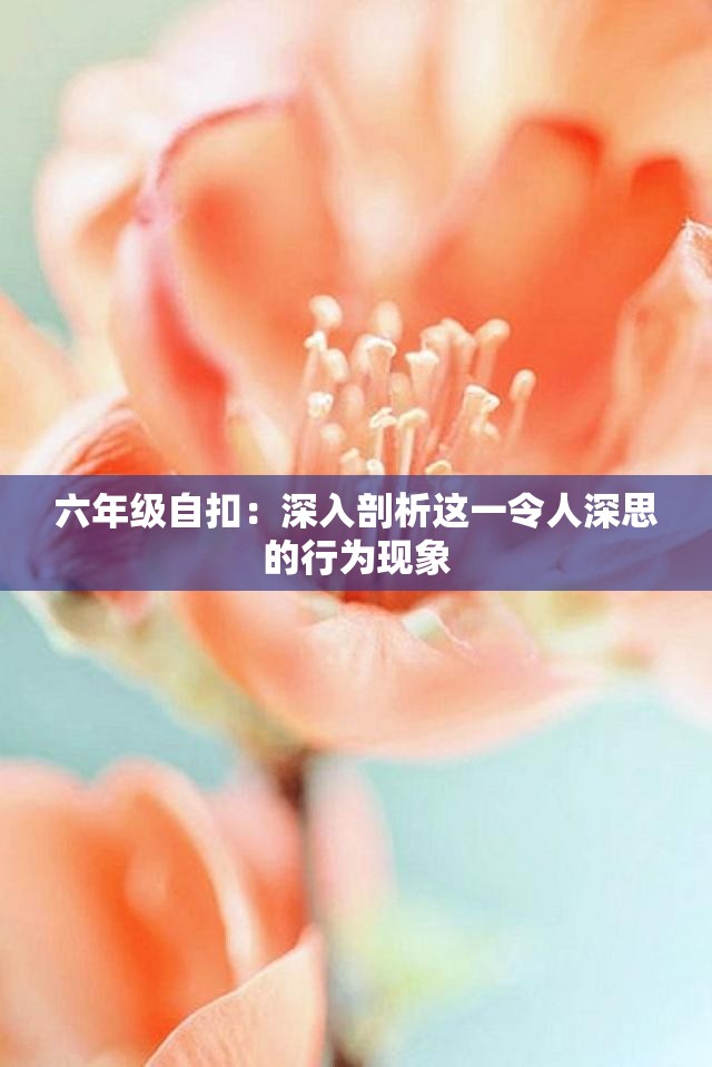 六年級(jí)自扣：深入剖析這一令人深思的行為現(xiàn)象