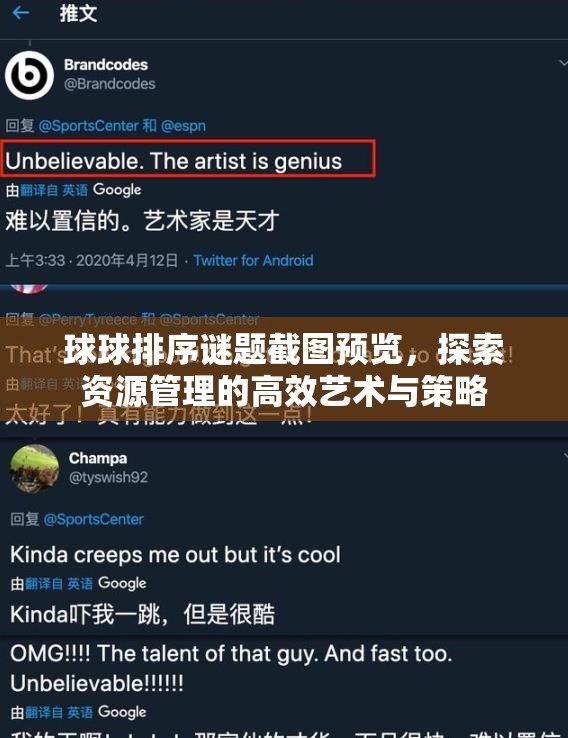 球球排序謎題截圖預(yù)覽，探索資源管理的高效藝術(shù)與策略