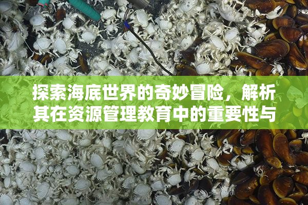 探索海底世界的奇妙冒險，解析其在資源管理教育中的重要性與趣味性