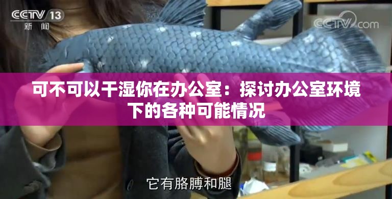可不可以干濕你在辦公室：探討辦公室環(huán)境下的各種可能情況