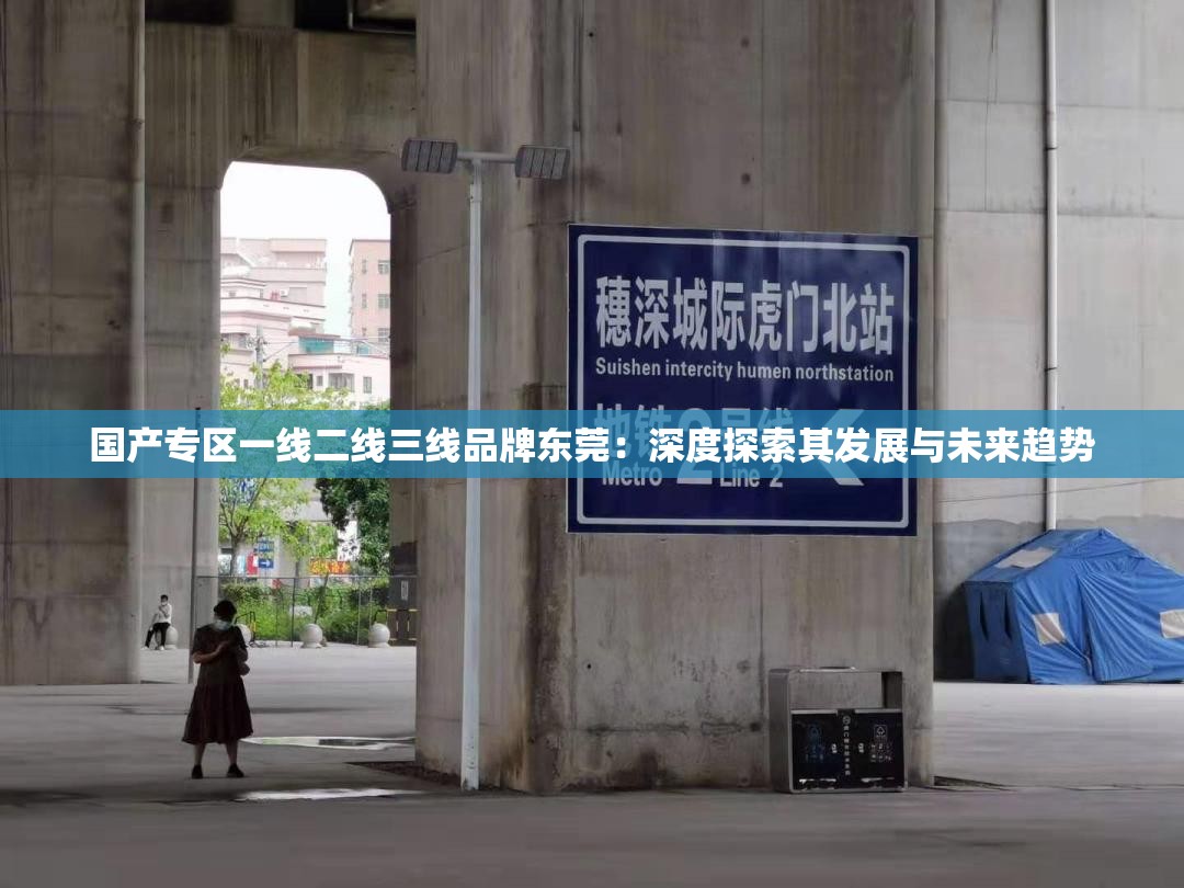 國(guó)產(chǎn)專區(qū)一線二線三線品牌東莞：深度探索其發(fā)展與未來(lái)趨勢(shì)