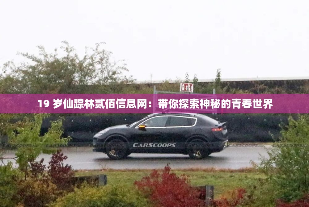 19 歲仙蹤林貳佰信息網(wǎng)：帶你探索神秘的青春世界