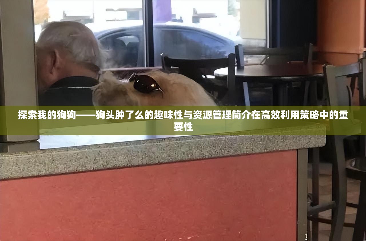 探索我的狗狗——狗頭腫了么的趣味性與資源管理簡(jiǎn)介在高效利用策略中的重要性