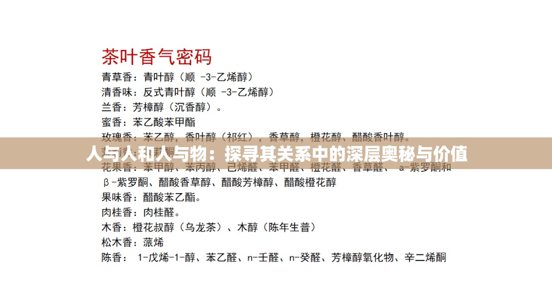 人與人和人與物：探尋其關(guān)系中的深層奧秘與價(jià)值