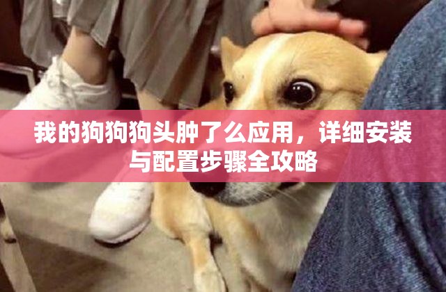 我的狗狗狗頭腫了么應(yīng)用，詳細(xì)安裝與配置步驟全攻略