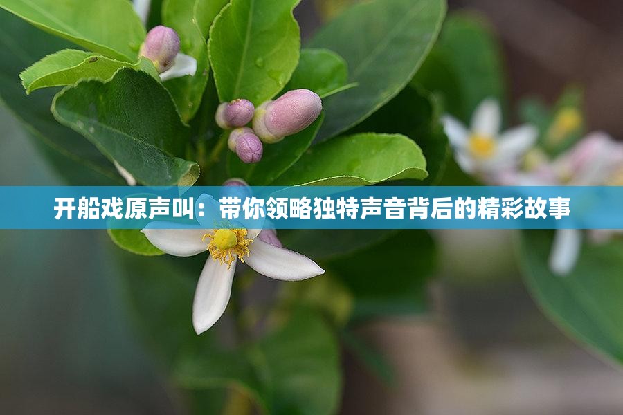開(kāi)船戲原聲叫：帶你領(lǐng)略獨(dú)特聲音背后的精彩故事