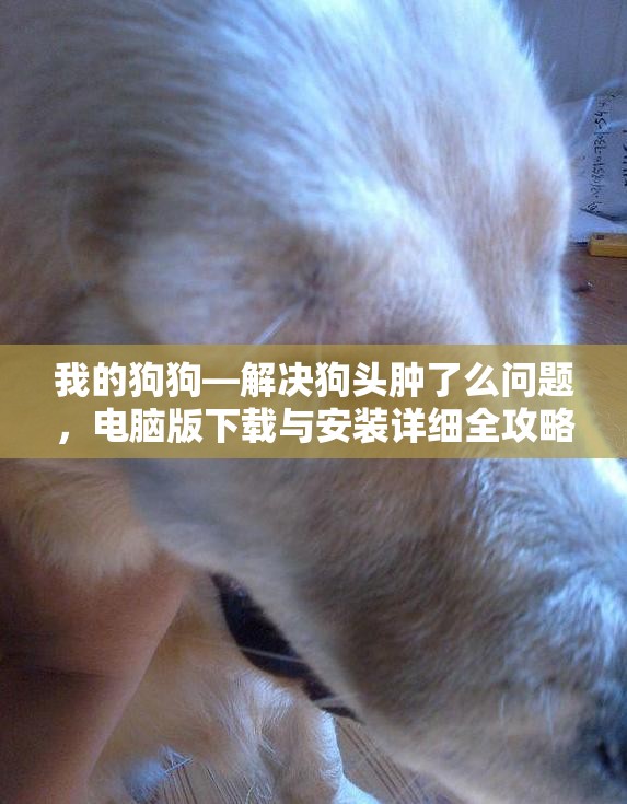 我的狗狗—解決狗頭腫了么問(wèn)題，電腦版下載與安裝詳細(xì)全攻略