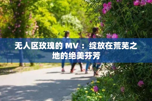 無人區(qū)玫瑰的 MV ：綻放在荒蕪之地的絕美芬芳