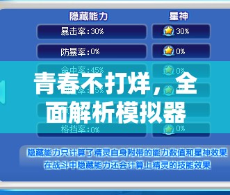 青春不打烊，全面解析模擬器安裝與配置實(shí)用全攻略
