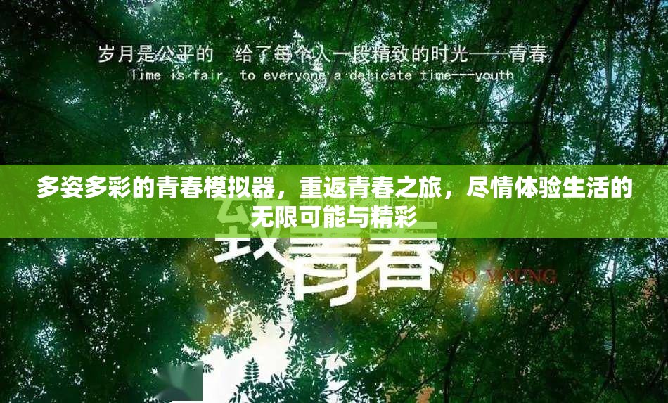 多姿多彩的青春模擬器，重返青春之旅，盡情體驗生活的無限可能與精彩