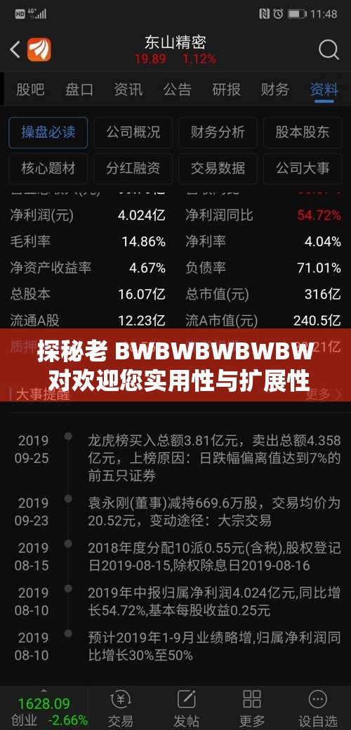 探秘老 BWBWBWBWBW 對歡迎您實用性與擴(kuò)展性：深度剖析其價值所在
