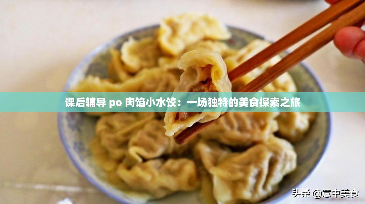 課后輔導(dǎo) po 肉餡小水餃：一場獨特的美食探索之旅