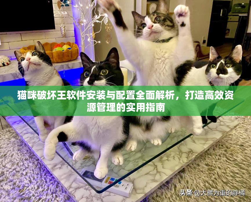 貓咪破壞王軟件安裝與配置全面解析，打造高效資源管理的實用指南