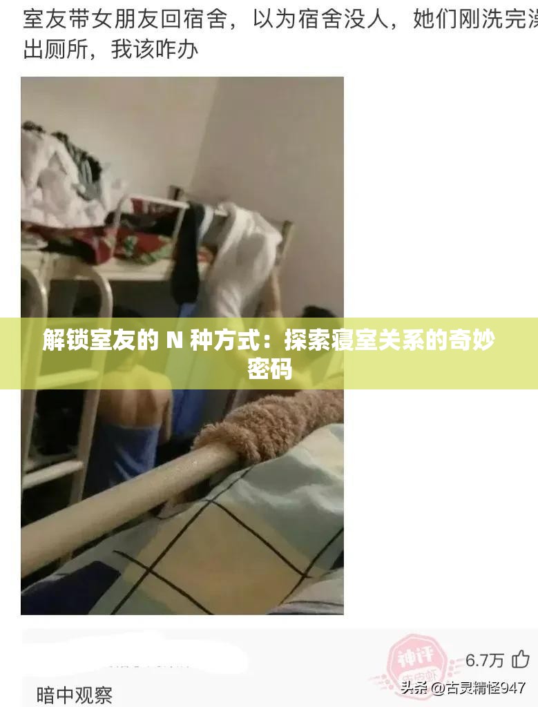 解鎖室友的 N 種方式：探索寢室關系的奇妙密碼