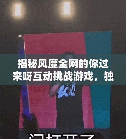 揭秘風靡全網(wǎng)的你過來呀互動挑戰(zhàn)游戲，獨特魅力何在，竟能吸引無數(shù)玩家參與