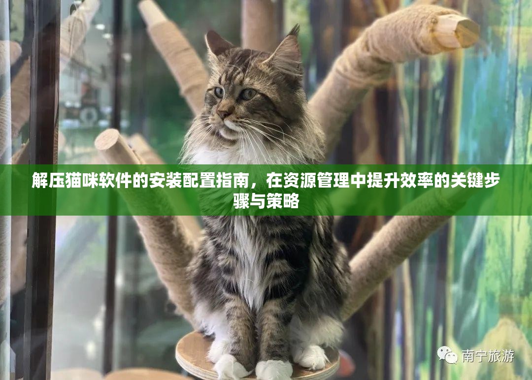解壓貓咪軟件的安裝配置指南，在資源管理中提升效率的關鍵步驟與策略