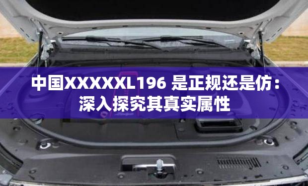 中國XXXXXL196 是正規(guī)還是仿：深入探究其真實(shí)屬性
