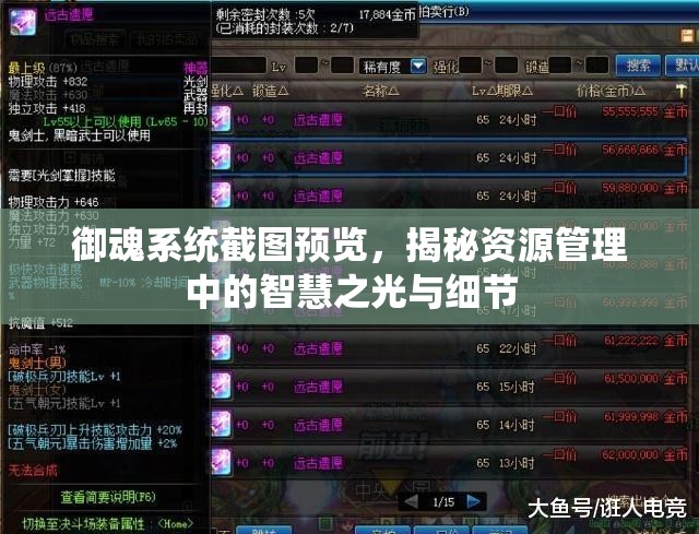 御魂系統(tǒng)截圖預(yù)覽，揭秘資源管理中的智慧之光與細(xì)節(jié)