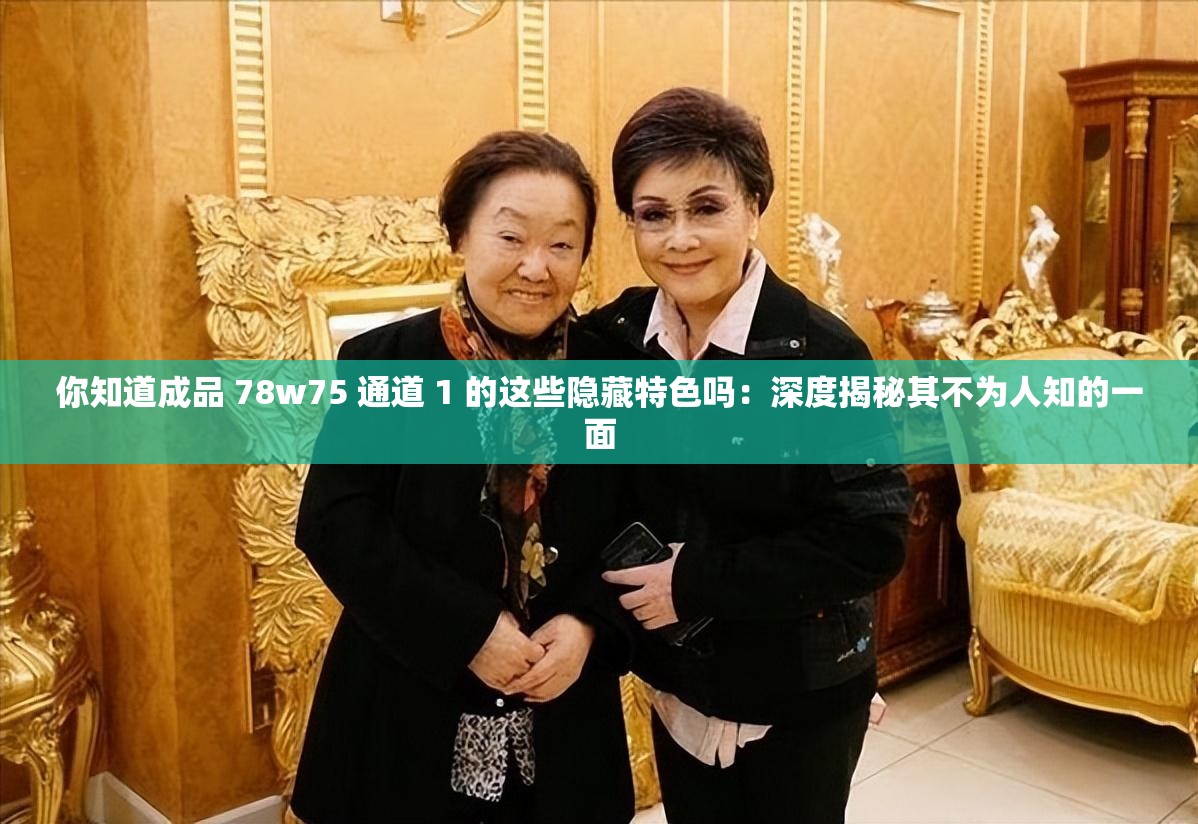 你知道成品 78w75 通道 1 的這些隱藏特色嗎：深度揭秘其不為人知的一面