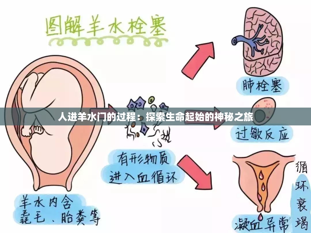人進(jìn)羊水門的過(guò)程：探索生命起始的神秘之旅