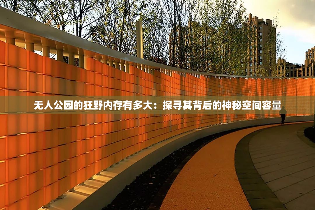 無(wú)人公園的狂野內(nèi)存有多大：探尋其背后的神秘空間容量