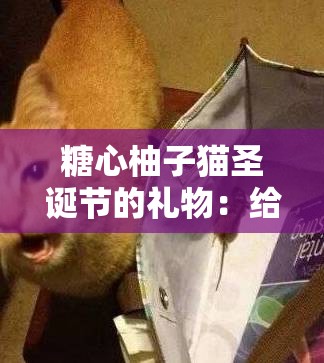 糖心柚子貓圣誕節(jié)的禮物：給你帶來溫馨與驚喜