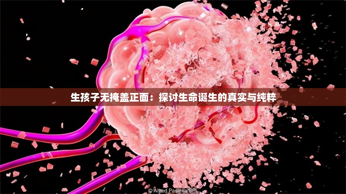 生孩子無掩蓋正面：探討生命誕生的真實(shí)與純粹