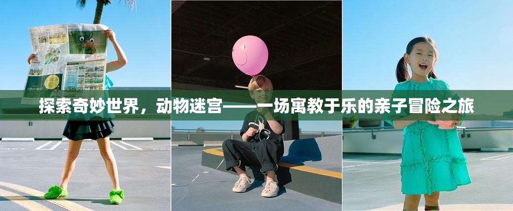 探索奇妙世界，動(dòng)物迷宮——一場(chǎng)寓教于樂(lè)的親子冒險(xiǎn)之旅